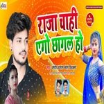 Raja Chahi Yego Chhagl Ho
