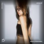 SMALLTOWN BOY (TECHNO SPED UP)