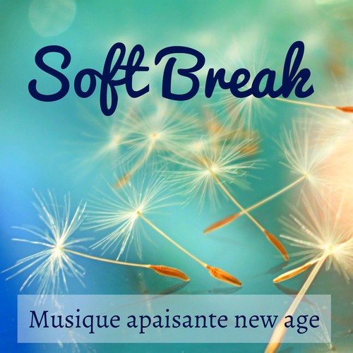 Soft Break - Musique apaisante new age pour résolution de problème techniques de relaxation santé et bien-être avec sons de la nature instrumentaux binauraux_poster_image