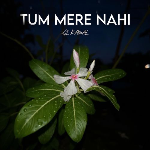 TUM MERE NAHI