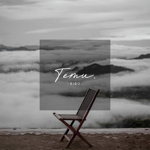 Temu cover art