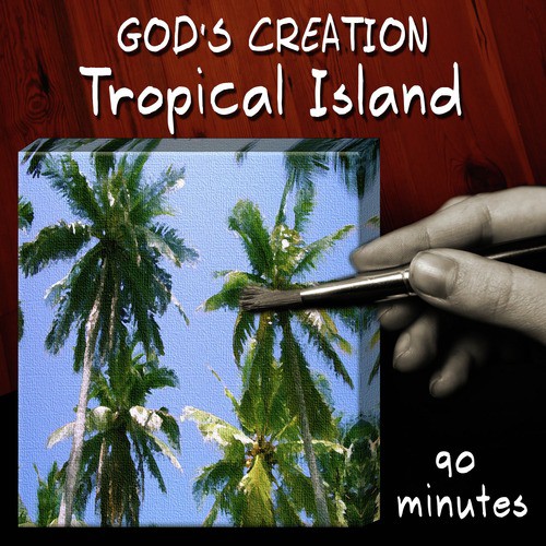 Tropical Island (90 Minutes)