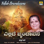 Yellide Brundavana