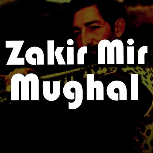 Zakir Mir Mughal