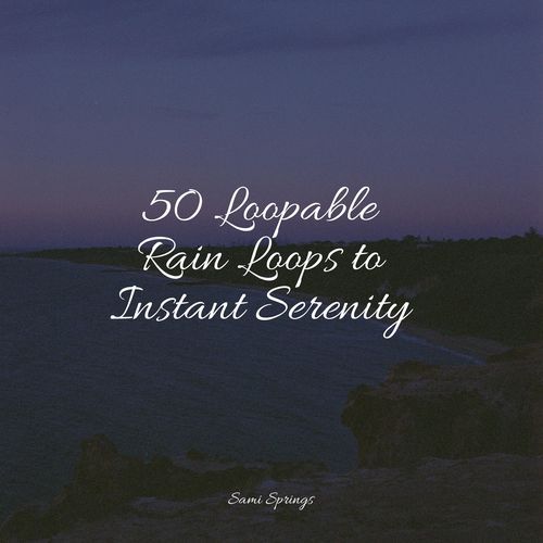 50 Loopable Rain Loops to Instant Serenity