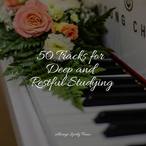 50 Tracks for Deep and Restful Studying_poster_image