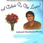 Zindegi Ka Safar (Cover Version)