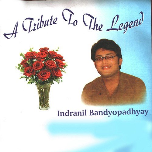 Indranil Banerjee
