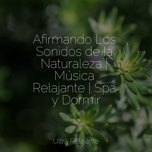 Musica Relajante Para Dormir - Musica para dormir: listen with lyrics