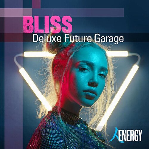 BLISS - Deluxe Future Garage_poster_image