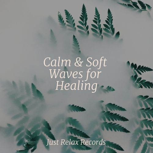 Calm & Soft Waves for Healing