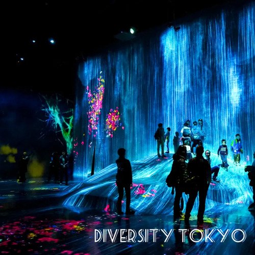 Diversity Tokyo_poster_image