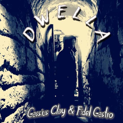 Dwella cover art