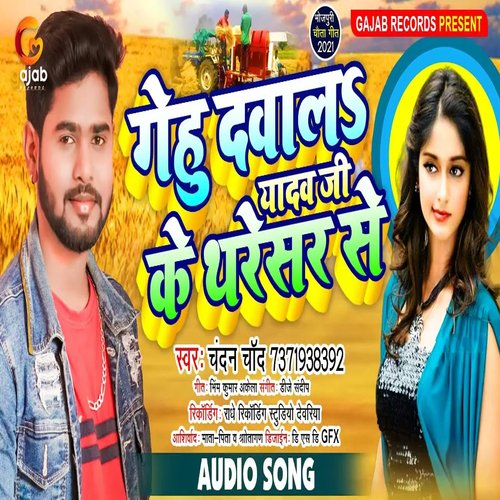 Gehu Dawal Yadav Ji Ke Tharesar Se