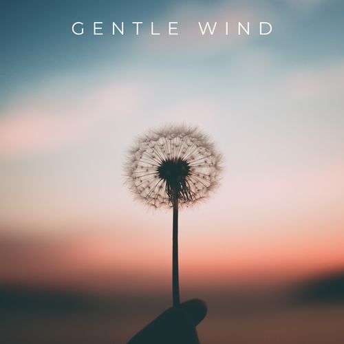 Gentle Wind_poster_image