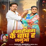 Hajaribaag Ke Baagh Ha Januaa