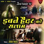 Ibne Haidar Ko Hai Salam
