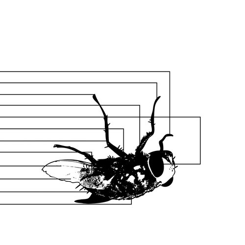 Les porcs (Live LéZarts) cover art
