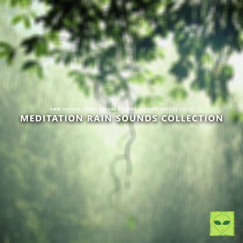 Meditation Rain Sounds cover art