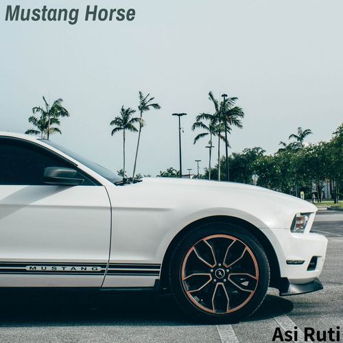 Mustang Horse