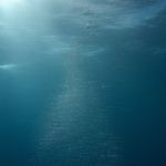 Pure Shores (Extended Mix) (Extended Mix)