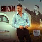 Shehzada Intro