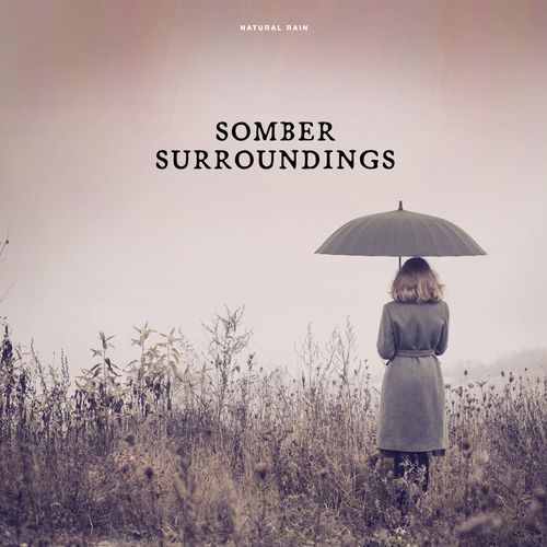 Somber Surroundings_poster_image