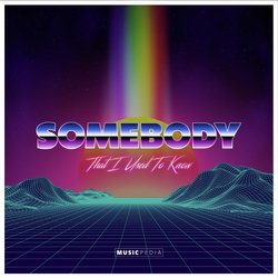 Somebody That I Used To Know (Remix)