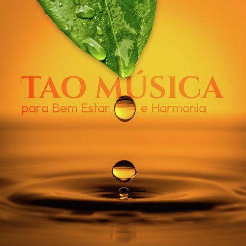 Massagem Música cover art