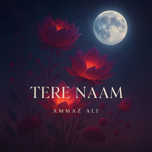 Tere Naam