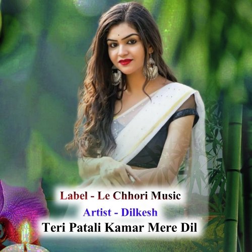 Teri Patali Kamar Mere Dil