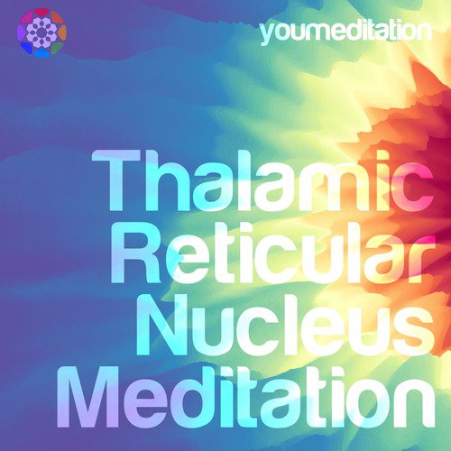 Thalamic Reticular Nucleus Meditation