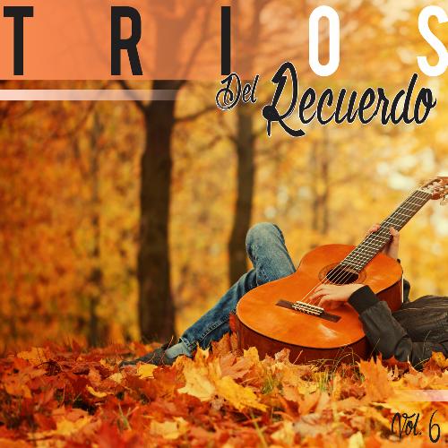 Tríos Del Recuerdo Vol. 6