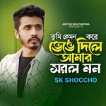 Tumi Kemon Kore Venge Dile Amar Sorol Mon