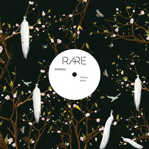 Various Artists I Comp