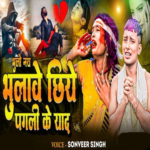 Vulo Nay Vulabe Chhiye Pagli Ke Yad