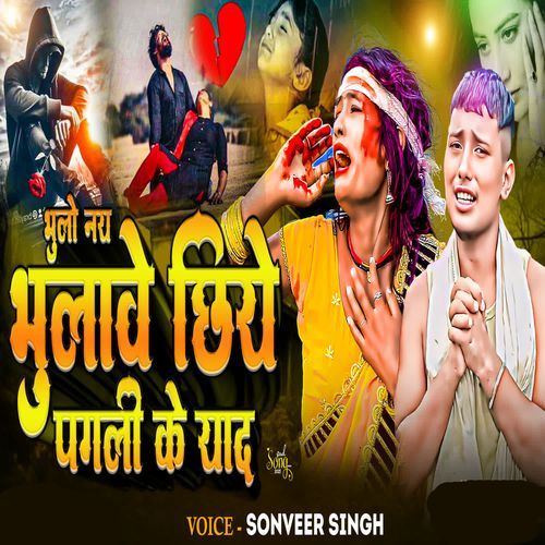 Vulo Nay Vulabe Chhiye Pagli Ke Yad