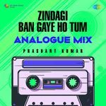 Zindagi Ban Gaye Ho Tum - Analogue Mix