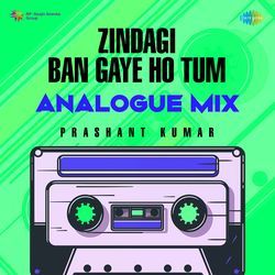 Zindagi Ban Gaye Ho Tum - Analogue Mix