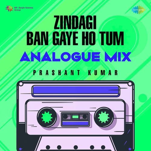 Zindagi Ban Gaye Ho Tum - Analogue Mix