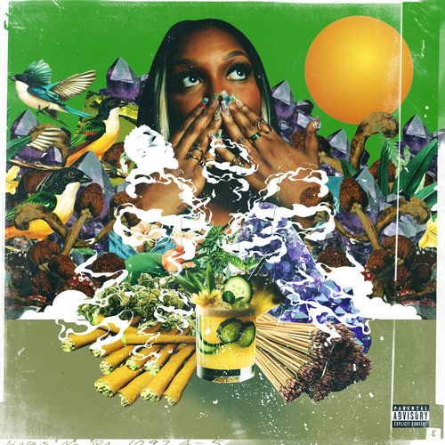 chaser cover art