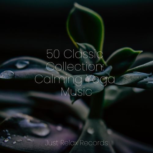 50 Classic Collection: Calming Yoga Music