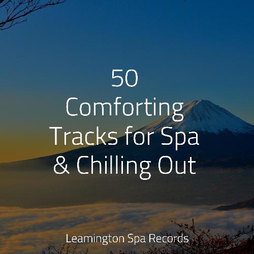 50 Comforting Tracks for Spa & Chilling Out