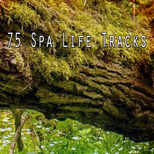 75 Spa Life Tracks
