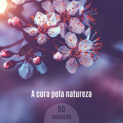 Sons da Natureza cover art