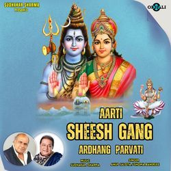 Aarti Sheesh Gang Ardhang Parvati-Iw86SRFze0s