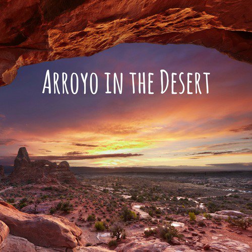Arroyo in the Desert