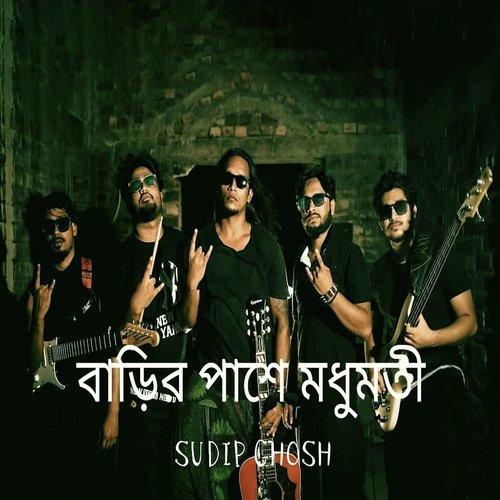 Barir Pashe Madhumati