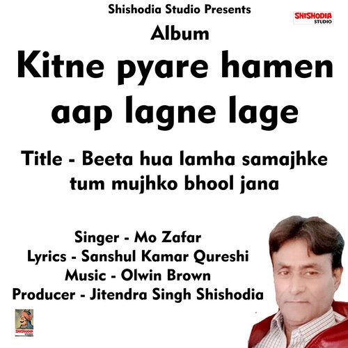 Beeta hua lamha samajhke tum