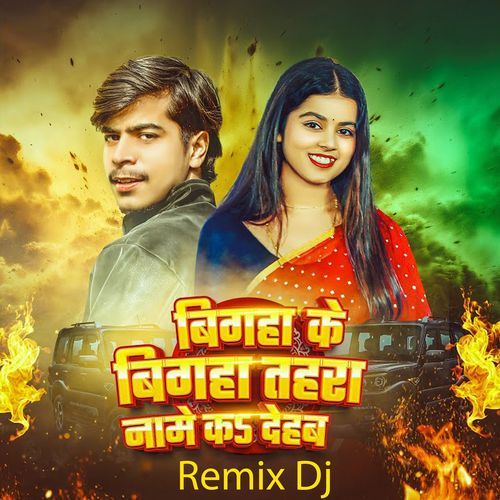 Bigha Ke Bigha Tohra Name Kar Dehab - Remix Dj